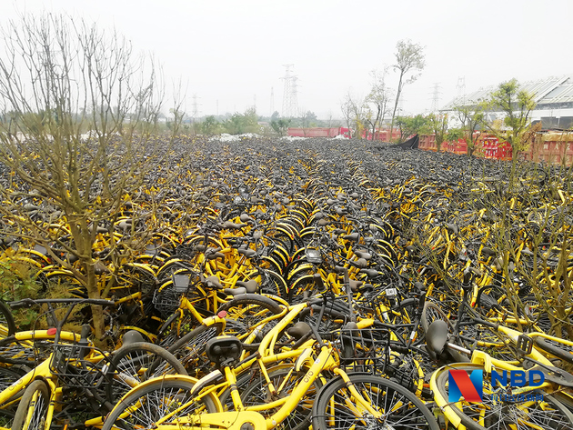 ofo bikes