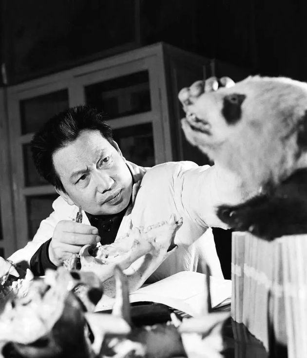 Father of Giant Panda Hu Jinchu Passes Away at 91 - National Business