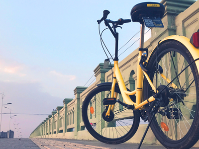 ofo bike cost